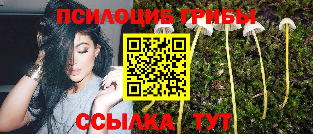 Галлюциногенные грибы Cubensis  Вход с VPN  Галлюциногенные грибы мицелий  Джанкой 